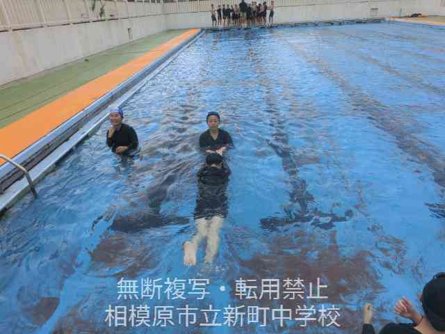CIMG6214 (1)