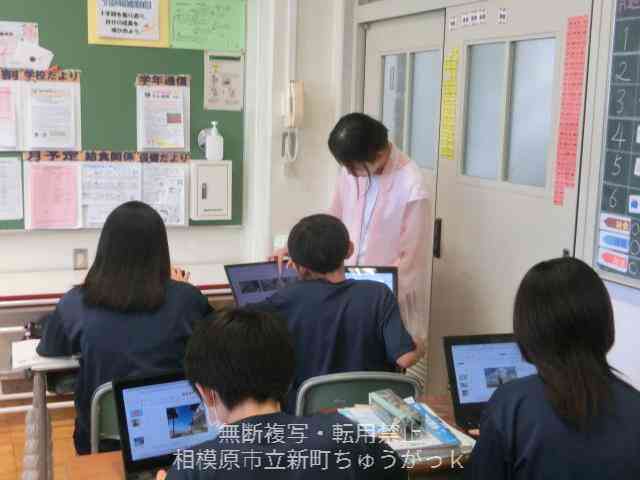 CIMG6225 (1)
