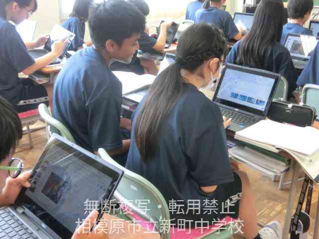 CIMG6229 (1)